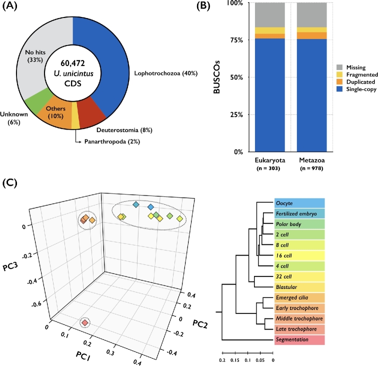 Figure 3:
