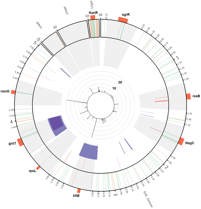 Figure 4.