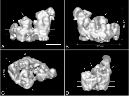 Fig. 2.