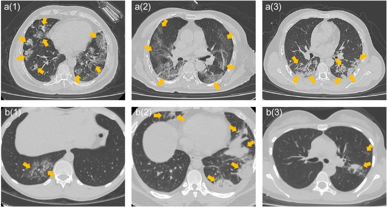 Fig. 3