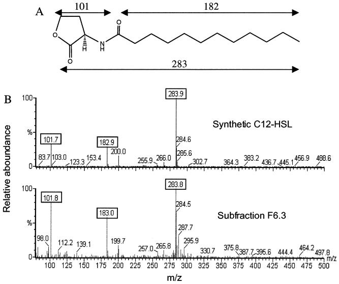 FIG. 4.