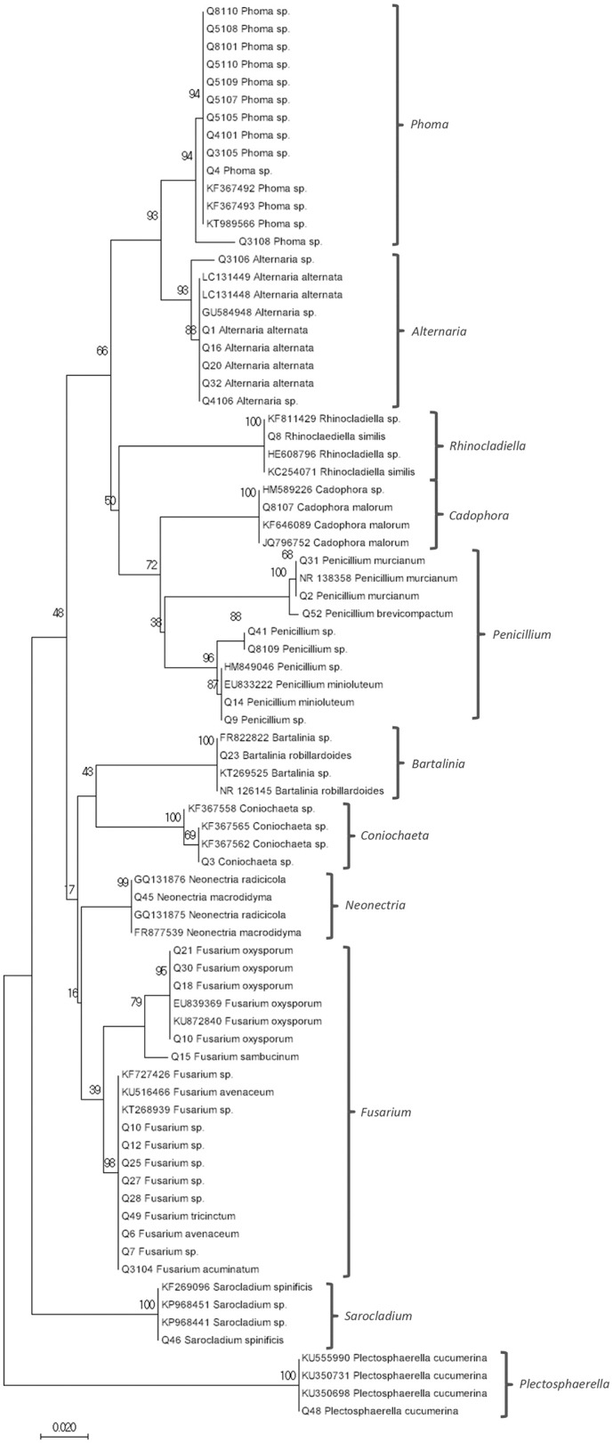 Fig. 2