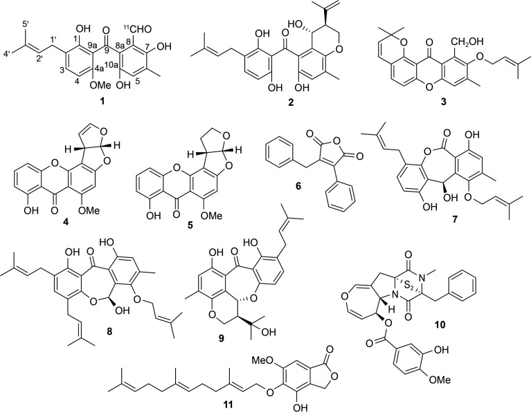 Fig. 1