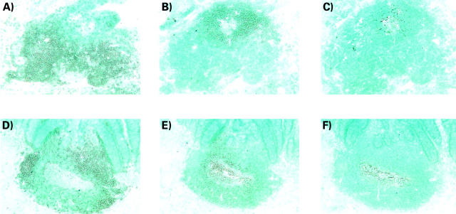 Figure 2  