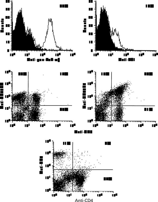 Figure 4  