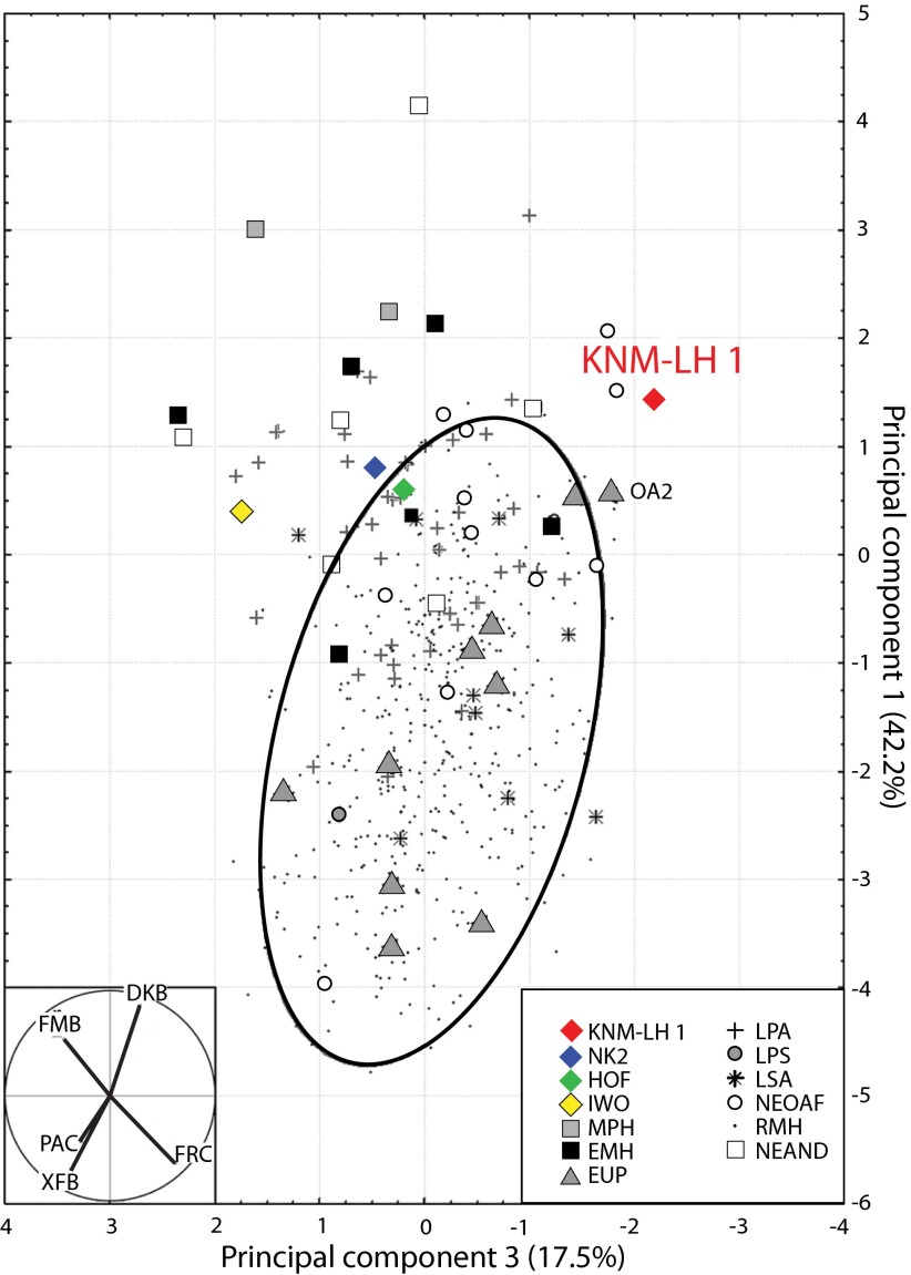 Fig. 3.