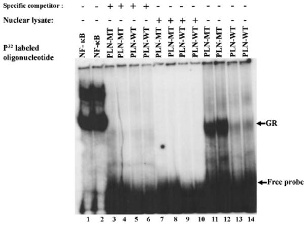 FIGURE 3