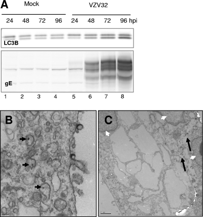 FIG. 5.