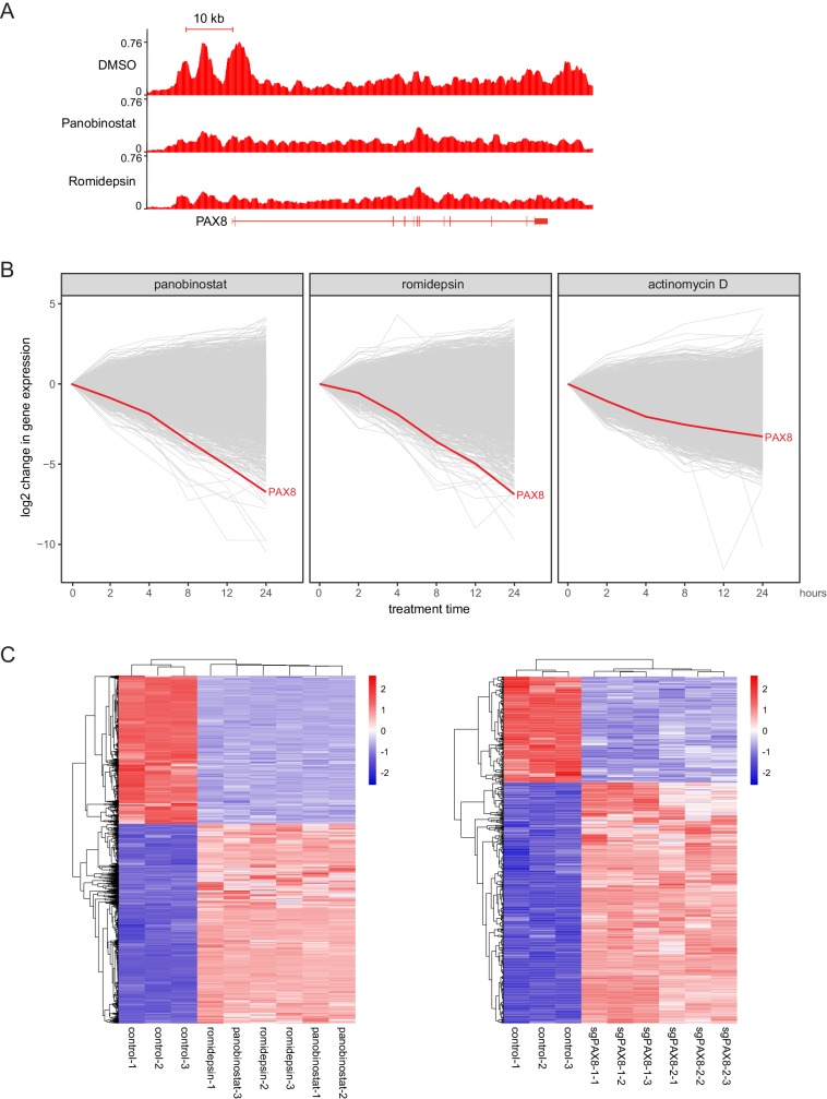 Figure 4—figure supplement 1.