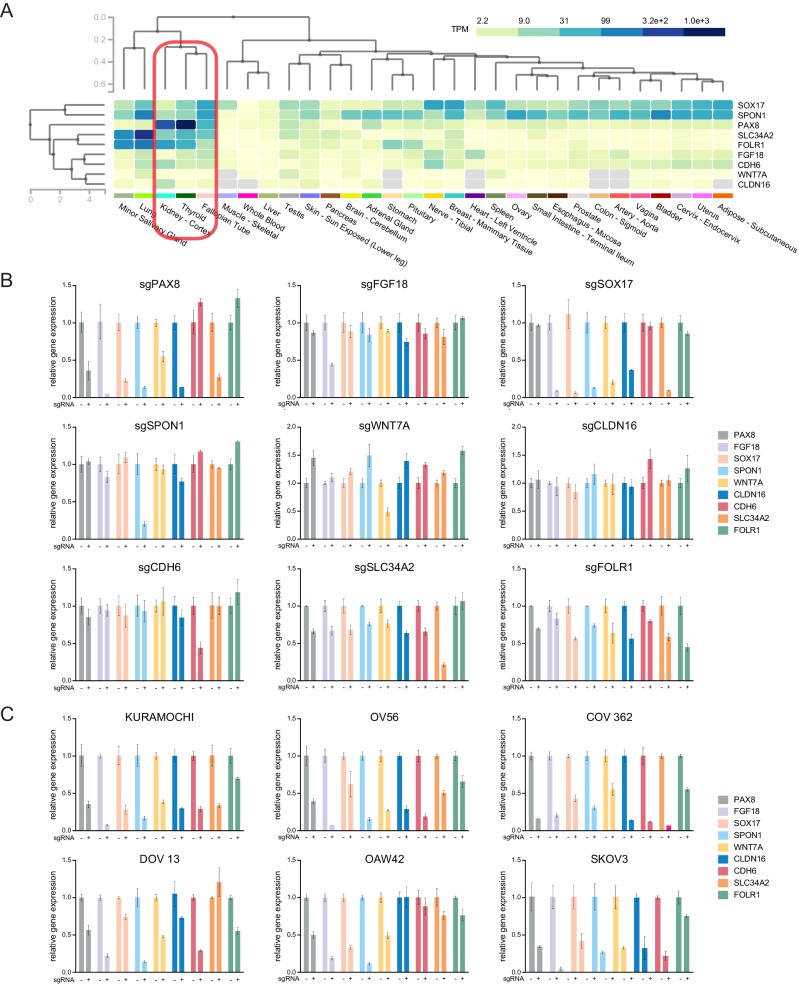 Figure 1—figure supplement 3.