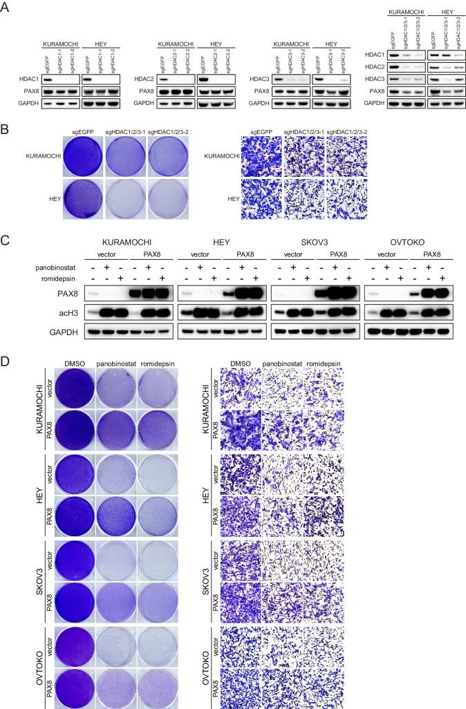 Figure 3—figure supplement 2.