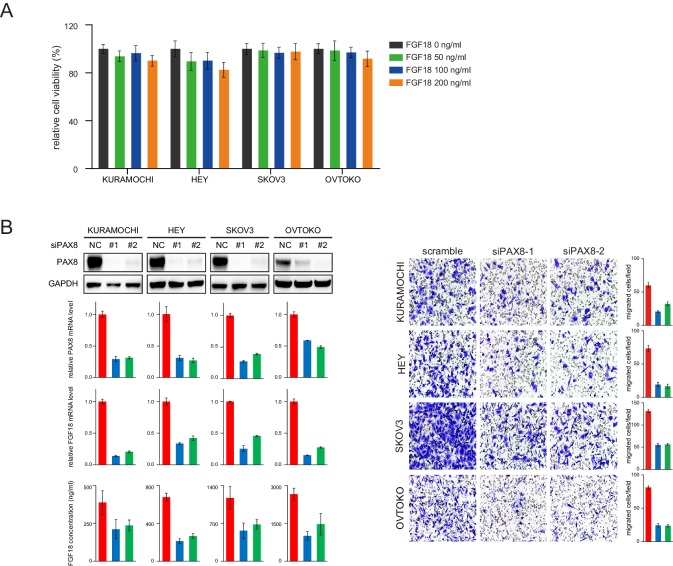 Figure 2—figure supplement 2.