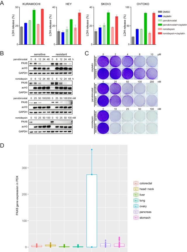 Figure 6—figure supplement 1.