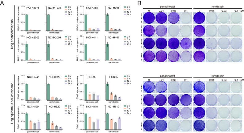 Figure 4—figure supplement 2.