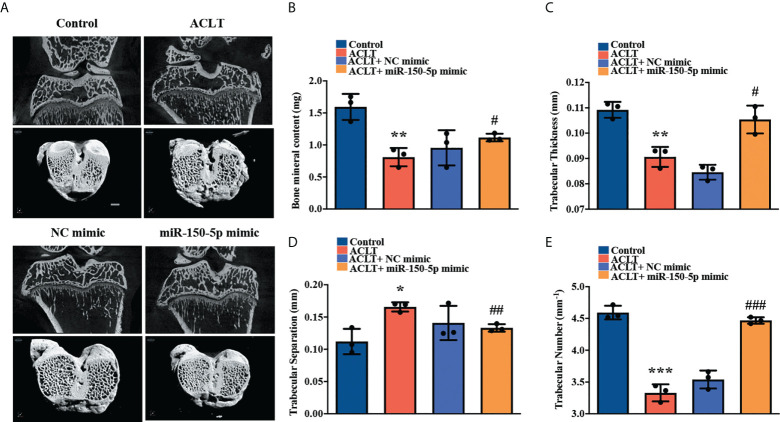 Figure 6