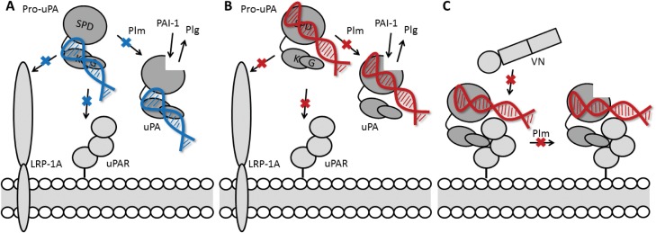 Fig 8