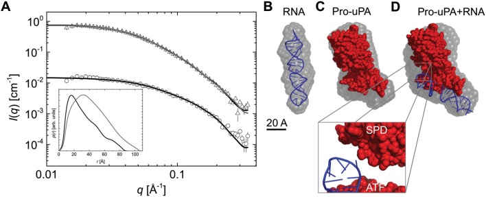 Fig 7