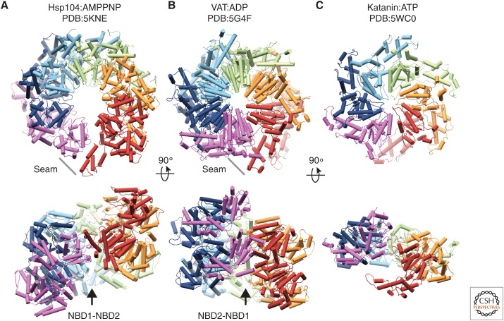 Figure 4.