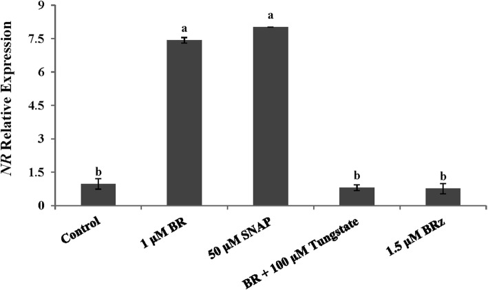 Fig. 5