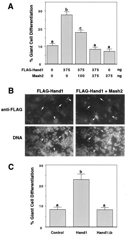 FIG. 6