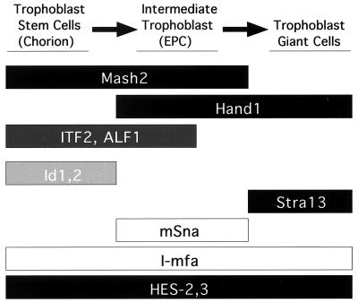 FIG. 8