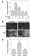 FIG. 6