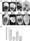 FIG. 7