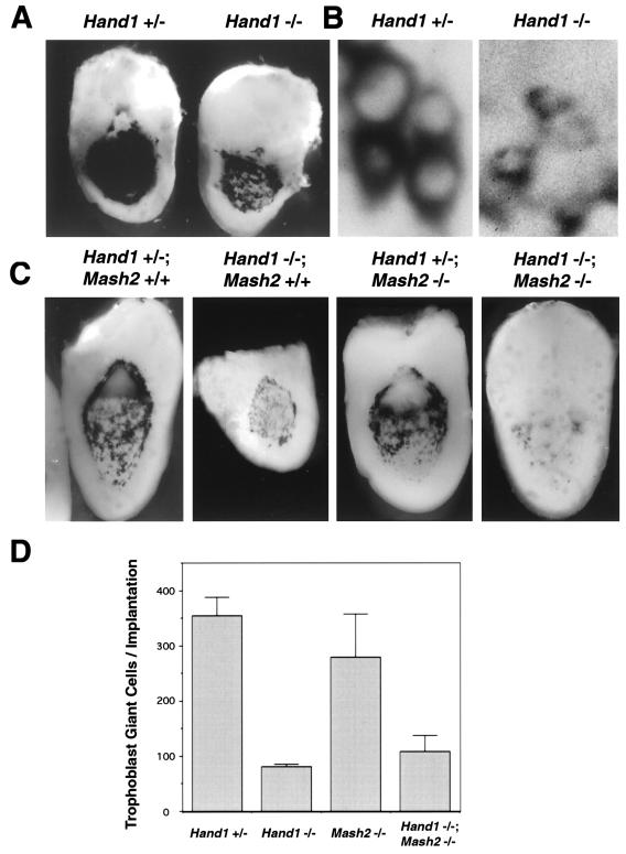 FIG. 7