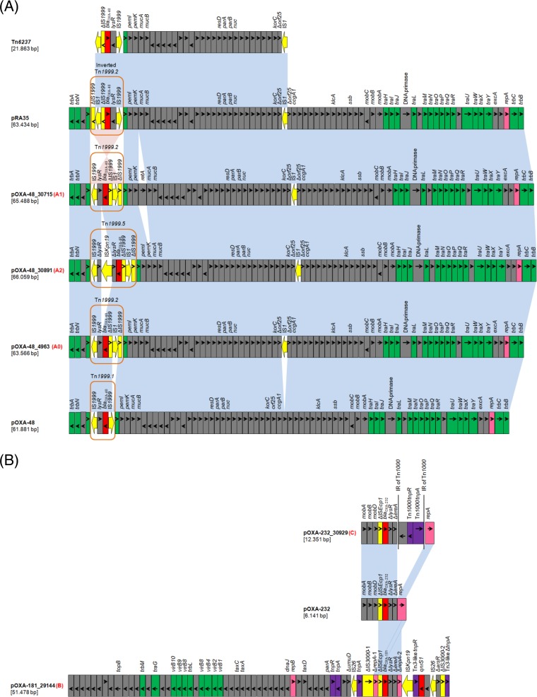 FIG 1