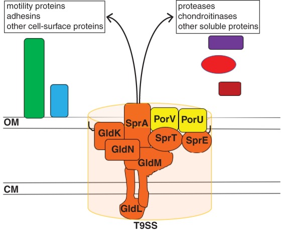 FIG 1