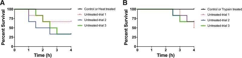 FIG 10