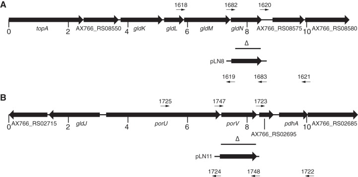 FIG 2