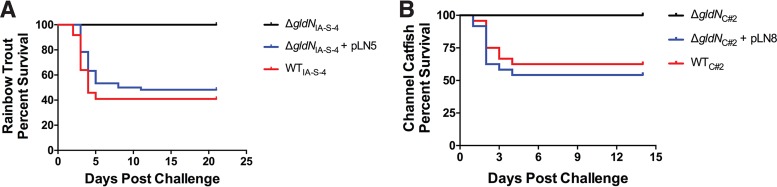 FIG 8