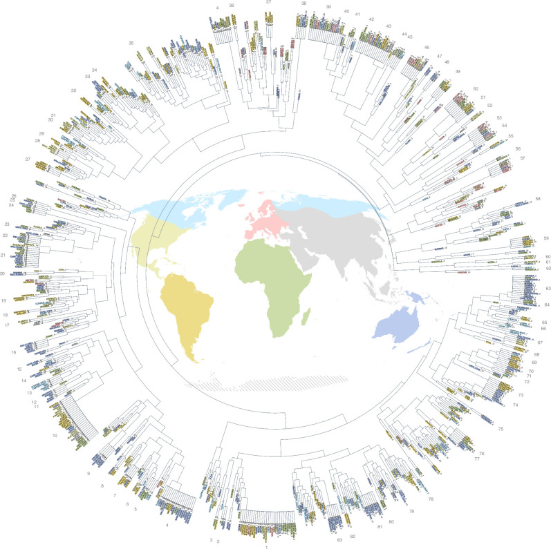 Dendrogram of the global string figure sample