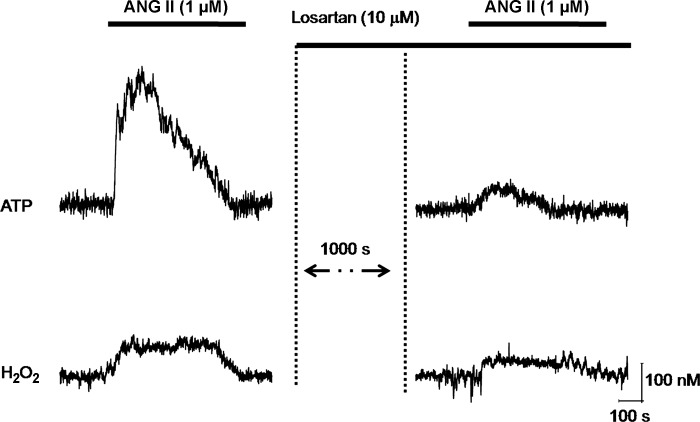 Fig. 7.