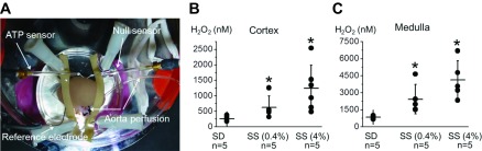 Fig. 2.