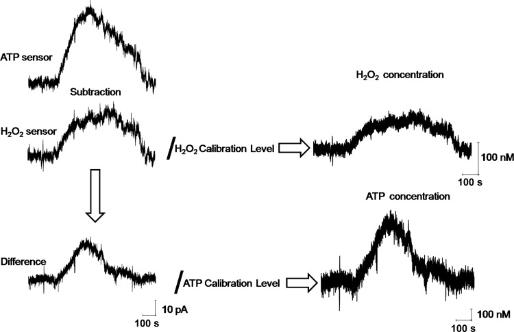 Fig. 4.