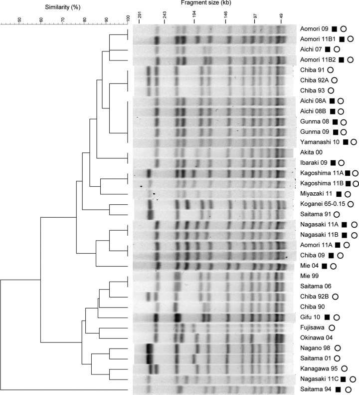 FIG 1