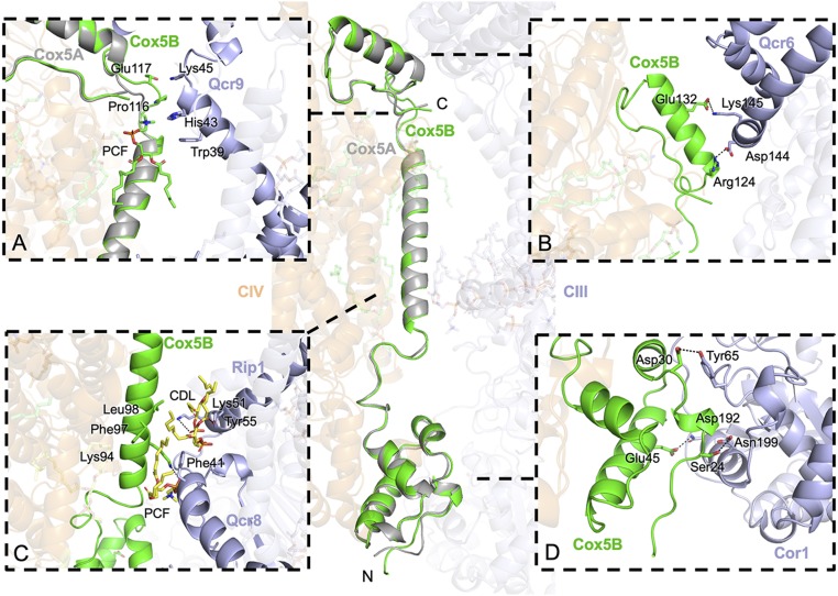 Fig. 3.