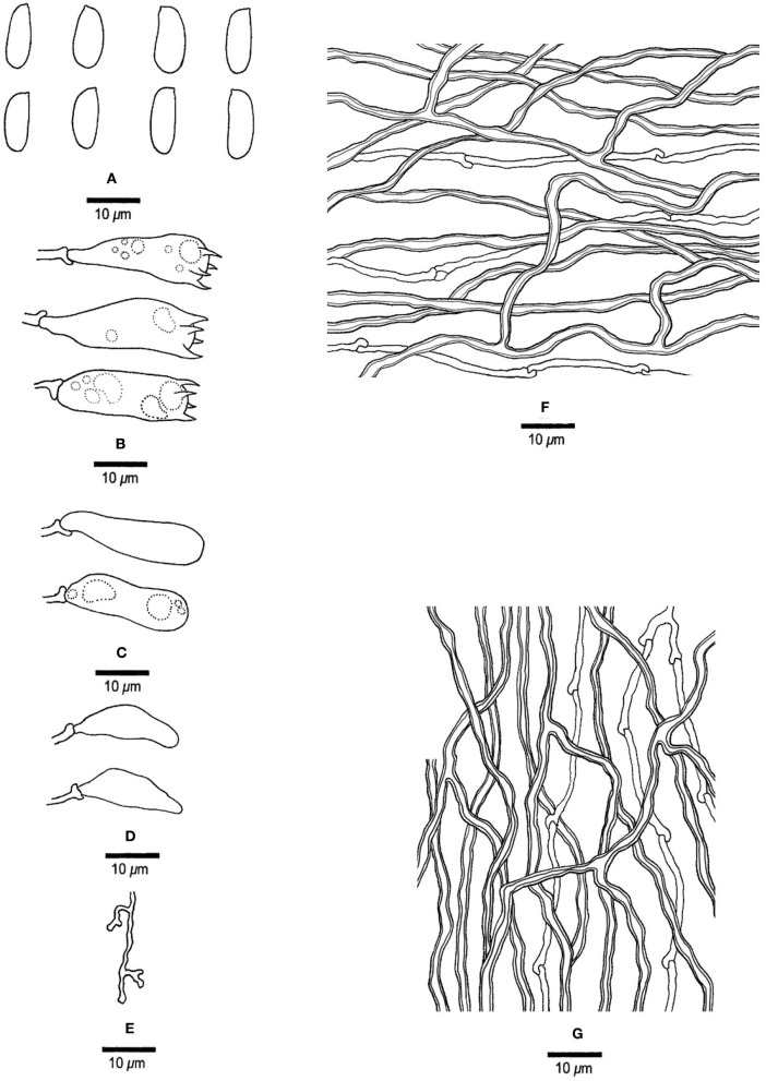 Figure 16