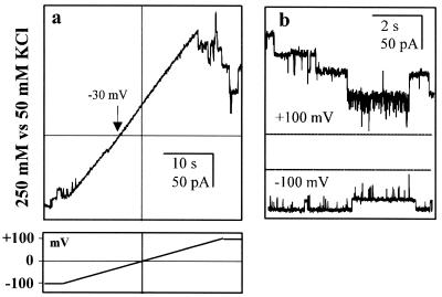 FIG. 7