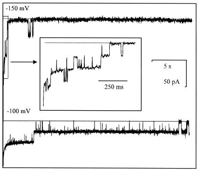 FIG. 3