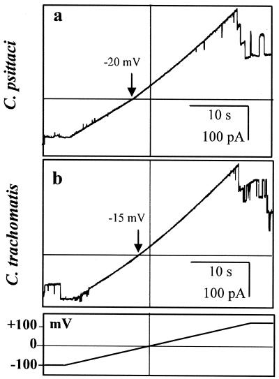 FIG. 6