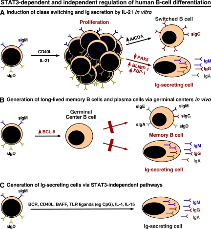 Figure 7.