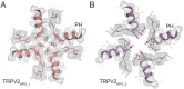 Figure 4—figure supplement 1.