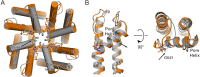 Figure 4—figure supplement 2.