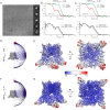 Figure 1—figure supplement 3.