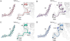 Figure 3—figure supplement 1.