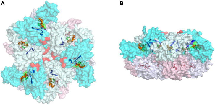 FIGURE 2