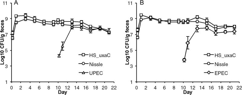 FIG 1